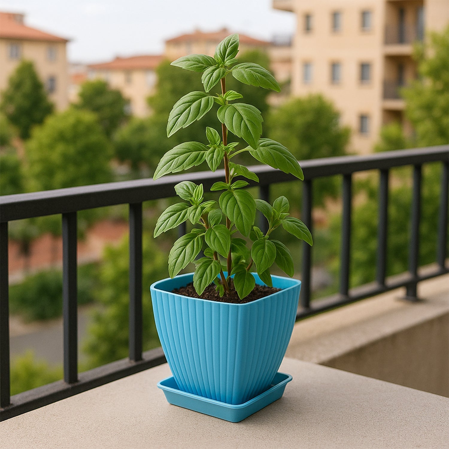 Set of 5 Square Decorative Plastic Flower Pots Set of 5 Square Decorative Plastic Flower Pots